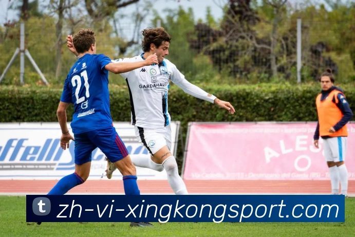 App Interface Preview